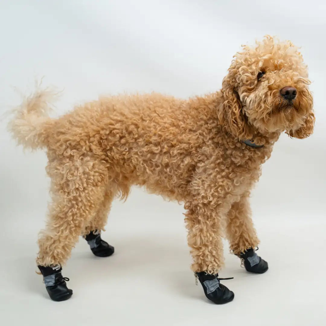 Köpek Ayakkabısı Yumuşak Kaydırmaz Su Geçirmez Taban (XS)