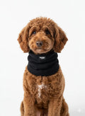 Buddy NeckShield - Boyunluk