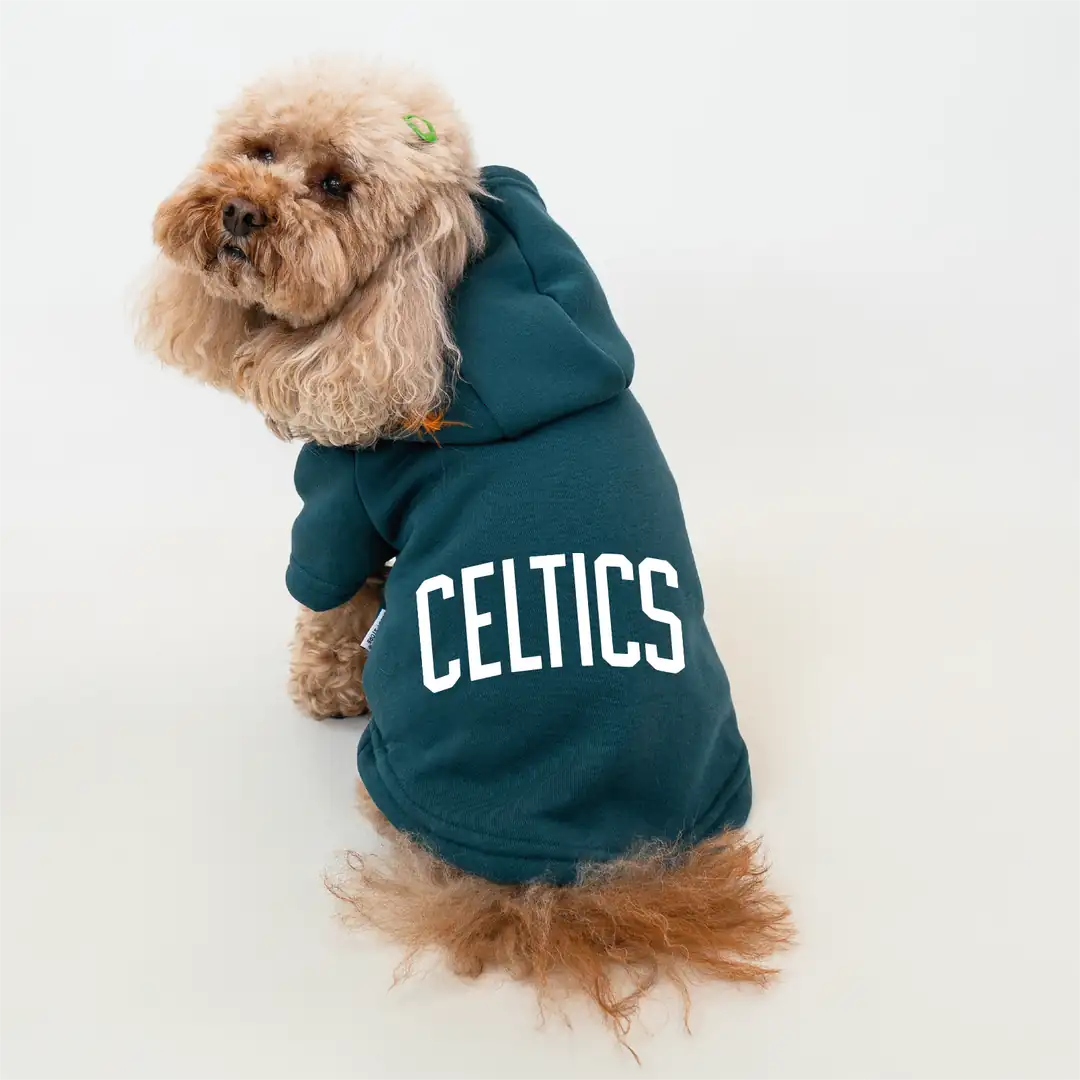 Petrol Yeşil Celtic Baskılı Kedi ve Köpek Sweatshirt Hoodie