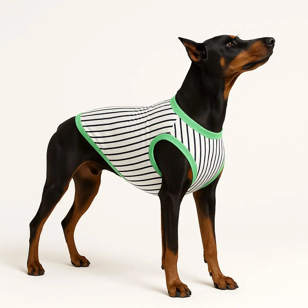 Büyük Irk Köpek Kıyafeti Konfor ve Rahat Kalıp Atlet - (18 - 35 KG)