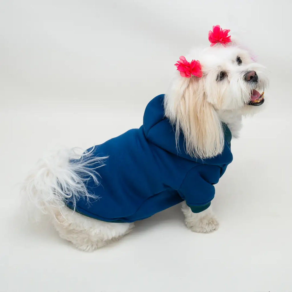 İndigo Mavi Baskısız Kedi ve Köpek Sweatshirt Hoodie