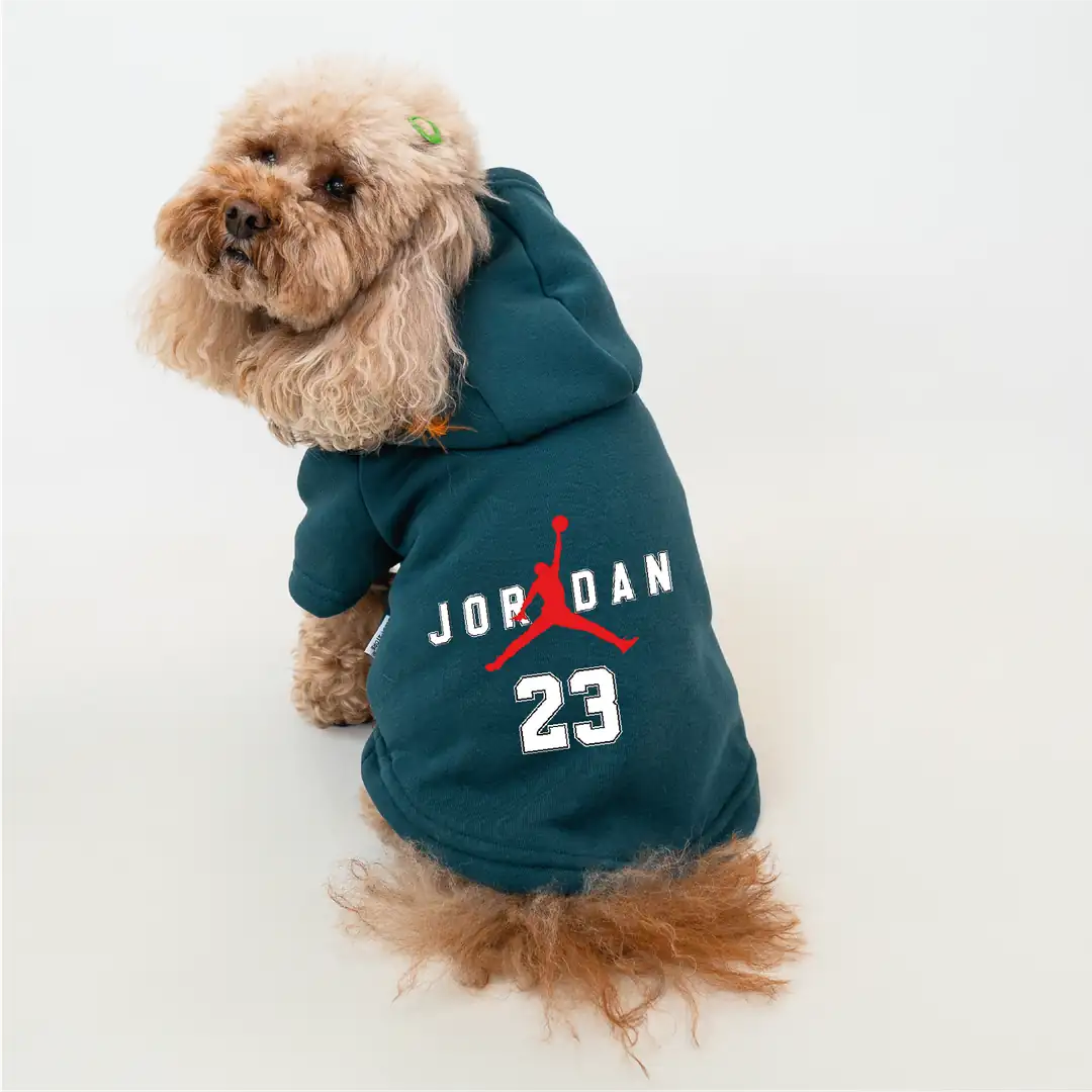 Petrol Yeşil Jordan Baskılı Kedi ve Köpek Sweatshirt Hoodie