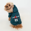 Petrol Yeşil Jordan Baskılı Kedi ve Köpek Sweatshirt Hoodie