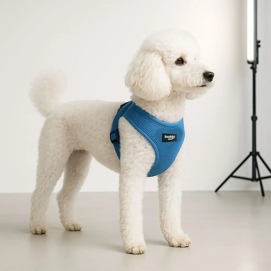 Air-mesh Harness Köpek Göğüs Tasması