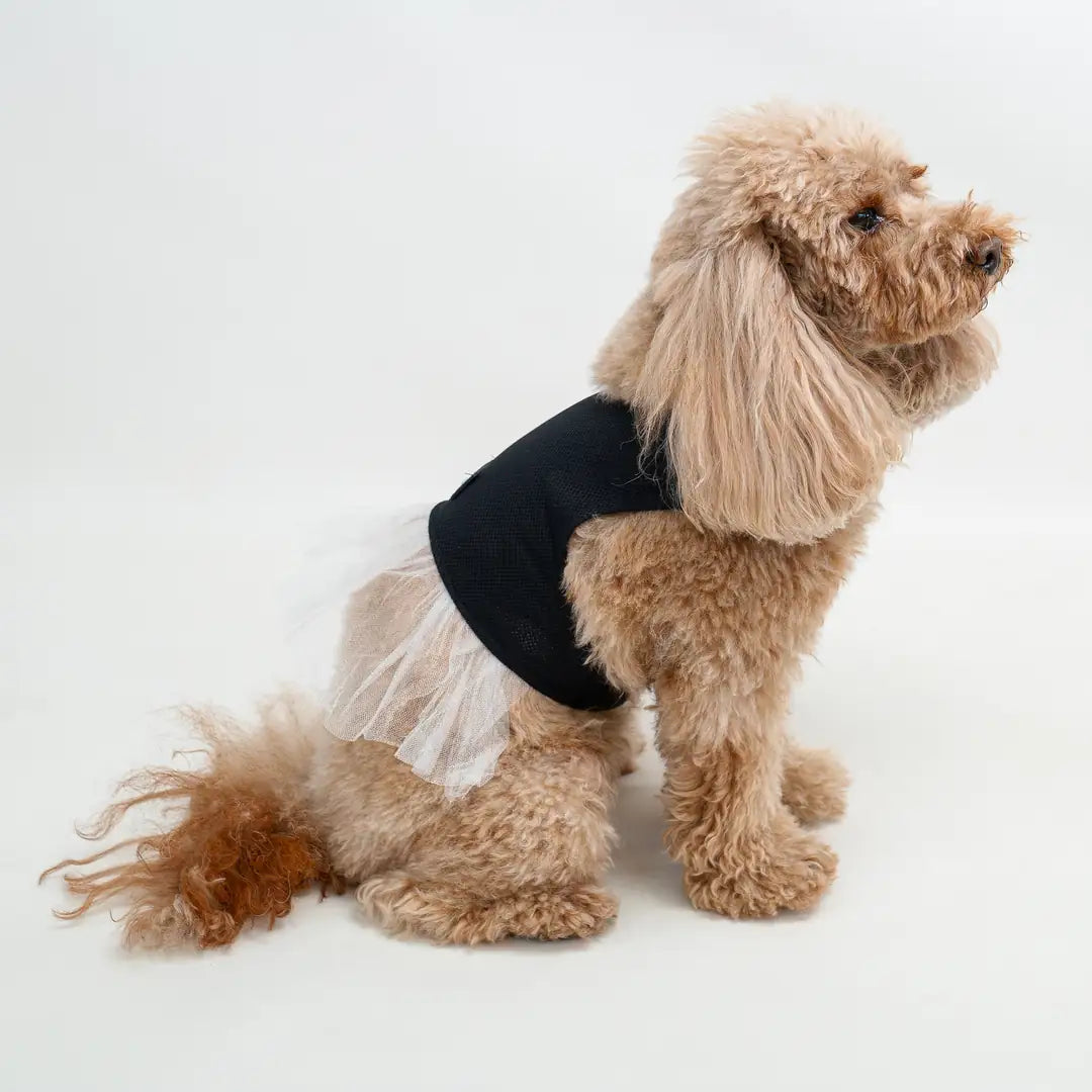 Kedi & Köpek Kıyafeti - Tütülü Elbise Modeli