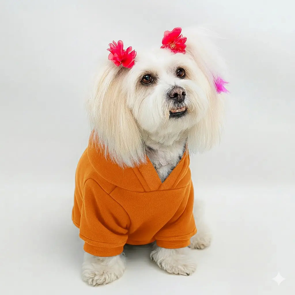 Turuncu Baskısız Kedi ve Köpek Sweatshirt Hoodie