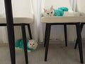 El Örmesi Kedi Köpek Elbisesi Su Yeşili