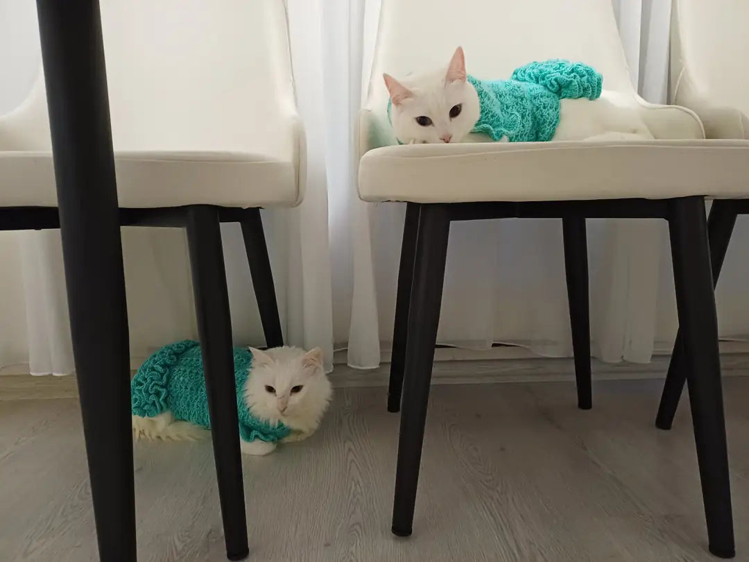El Örmesi Kedi Köpek Elbisesi Su Yeşili