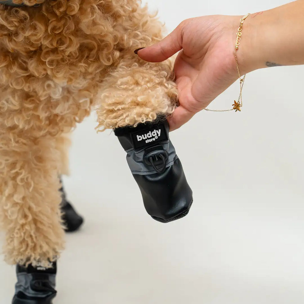 Köpek Ayakkabısı Yumuşak Kaydırmaz Su Geçirmez Taban (M)