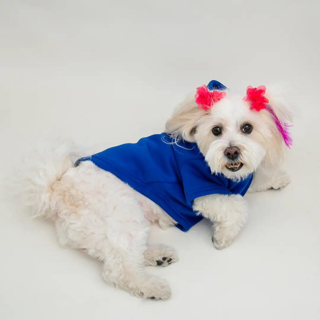 Saks Buddy Baskılı Kedi ve Köpek Sweatshirt Hoodie