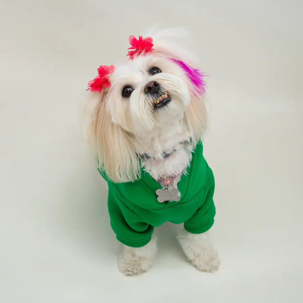 Yeşil Bear Baskılı Kedi ve Köpek Sweatshirt Hoodie