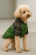 Buddy Store Premium "Eco Shield" Yağmurluk – Şık ve Su Geçirmez Köpek Montu (Wild Buddy Edition)