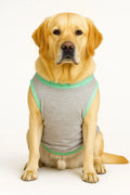 Büyük Irk Köpek Kıyafeti Konfor ve Rahat Kalıp Atlet - (18 - 35 KG)