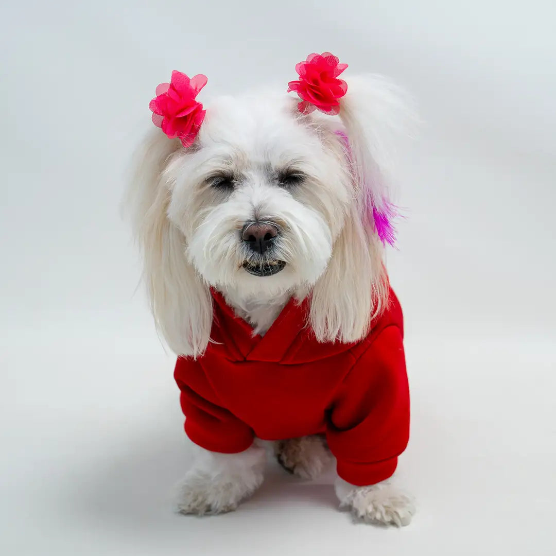 Kırmızı Panda Baskılı Kedi ve Köpek Sweatshirt Hoodie