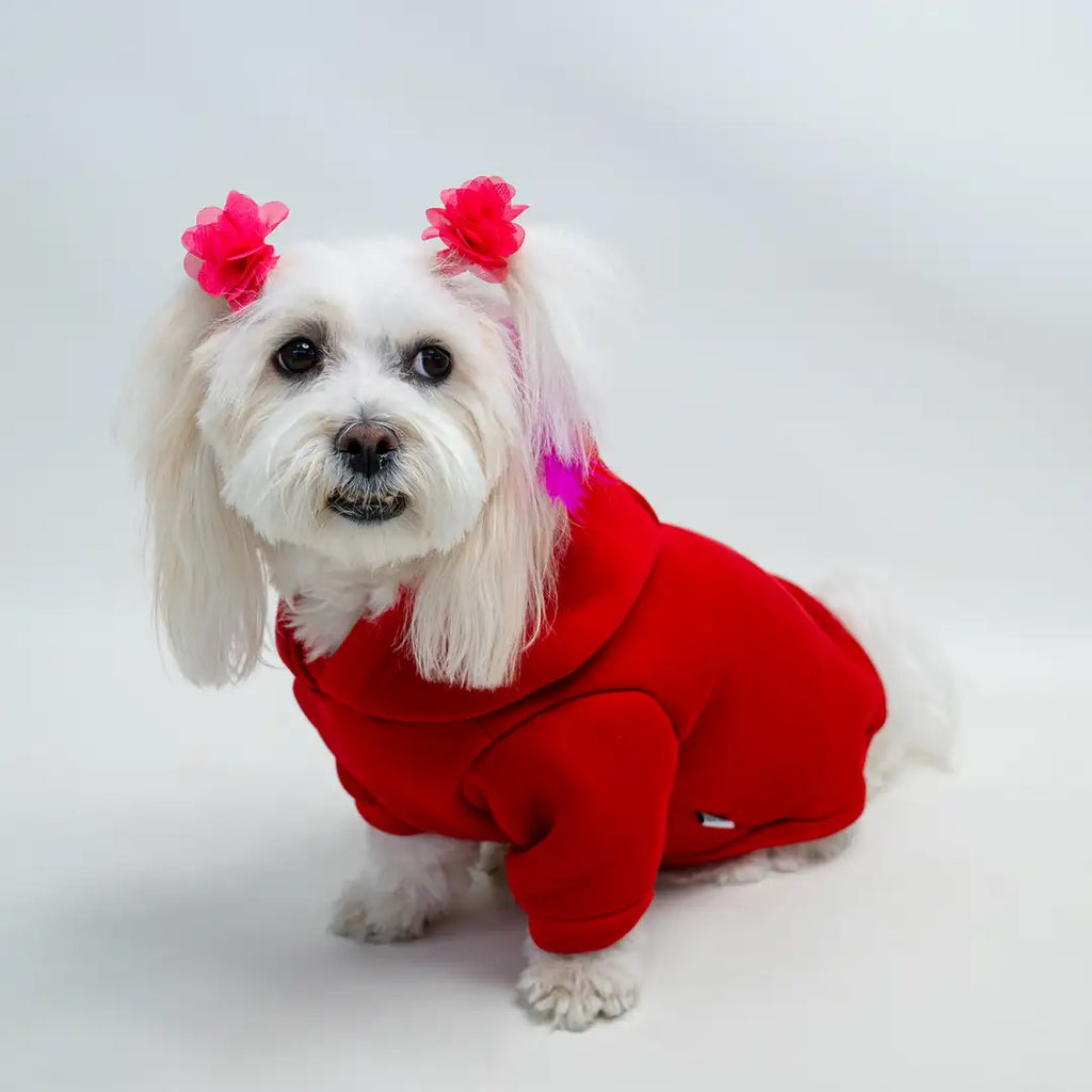 Kırmızı Panda Baskılı Kedi ve Köpek Sweatshirt Hoodie