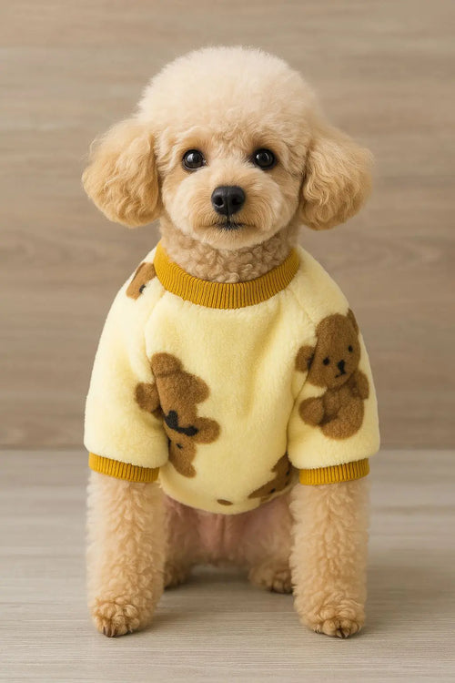 Ayıcık desenli peluş kedi köpek sweatshirt detay görünümü