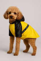 Kuzubo Stormy Walk Yağmurluk – Şık ve Su Geçirmez Köpek Montu