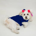 Lacivert Baskısız Kedi ve Köpek Sweatshirt Hoodie