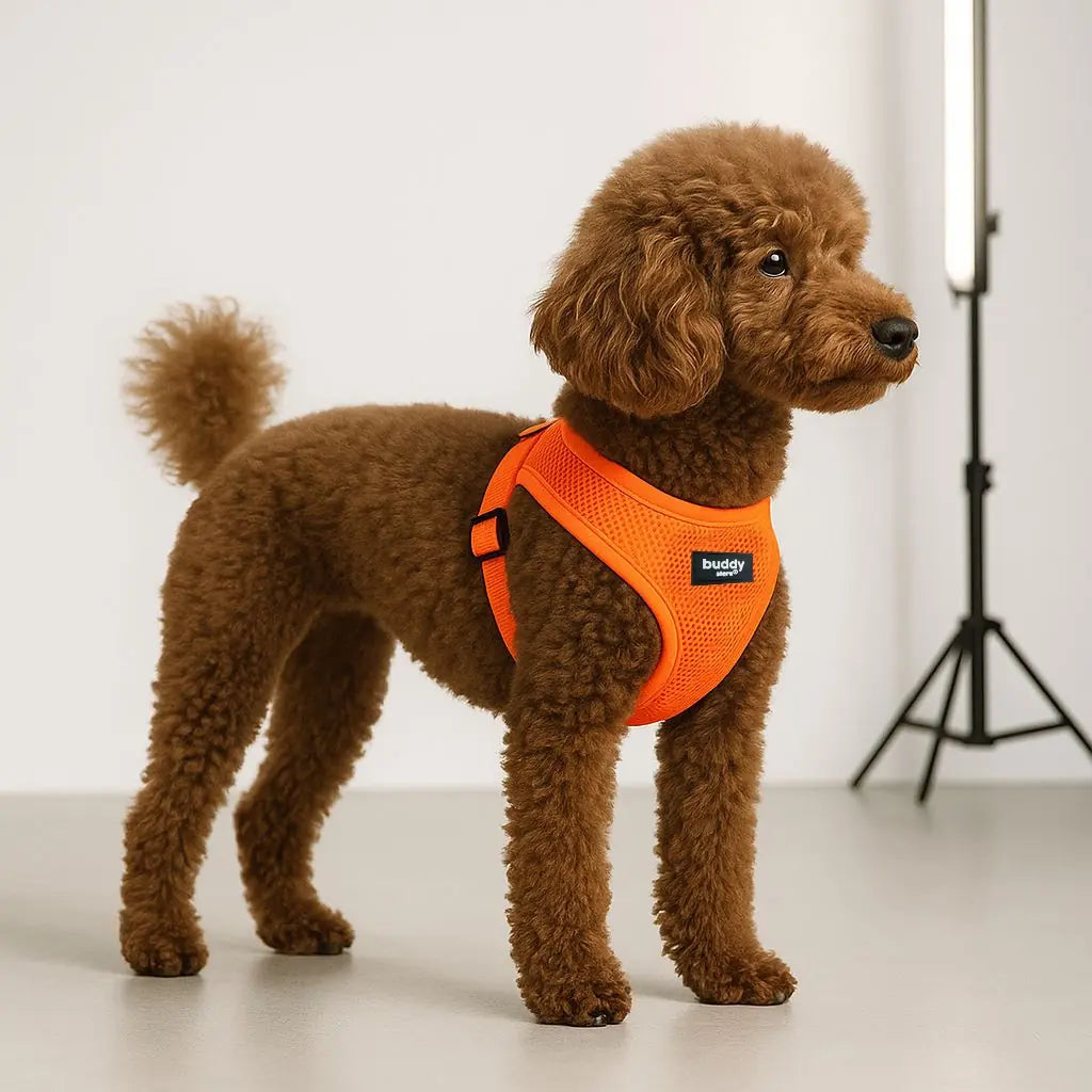 Air-mesh Harness Köpek Göğüs Tasması