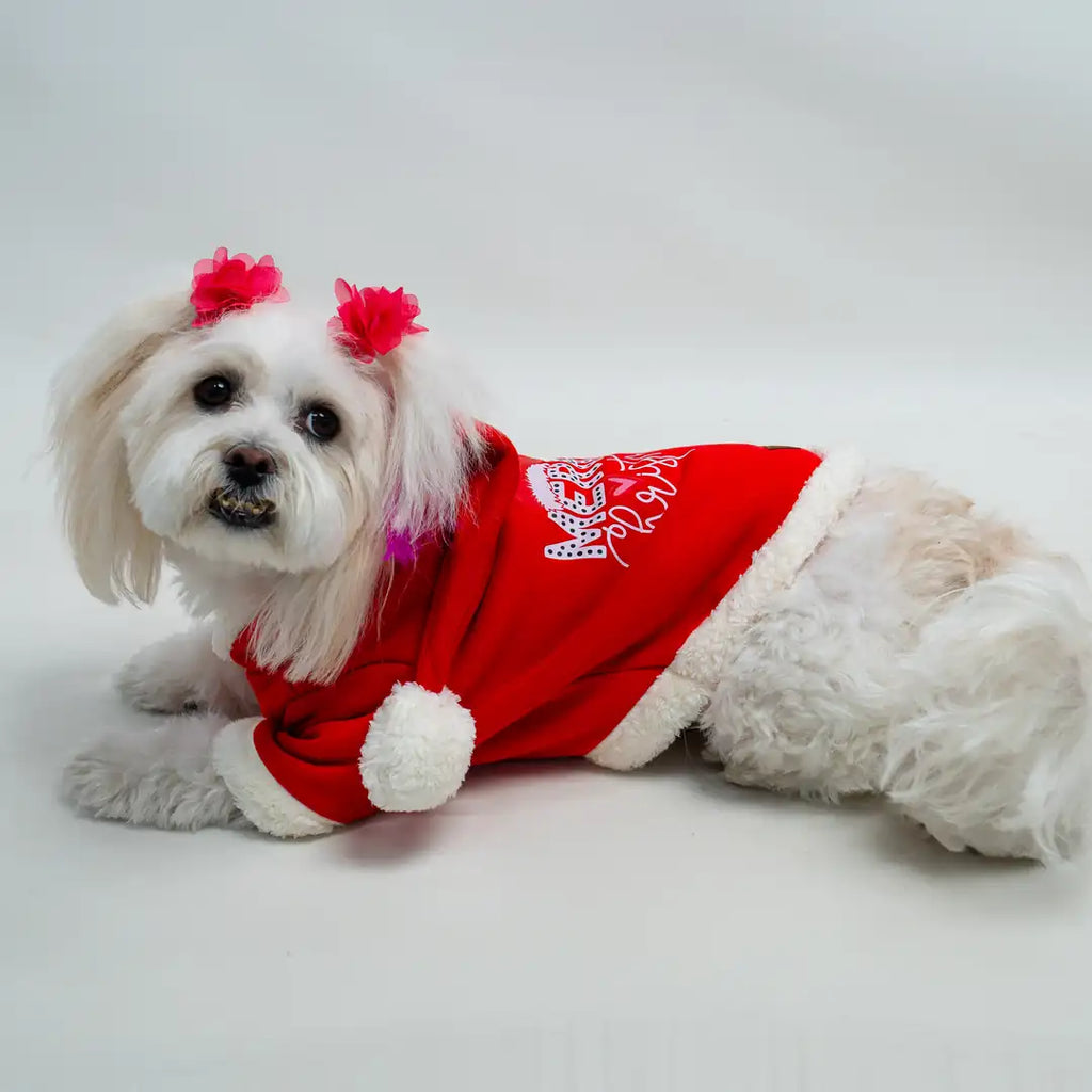 Kırmızı Yılbaşı & Noel Baskılı Kedi ve Köpek Sweatshirt Hoodie