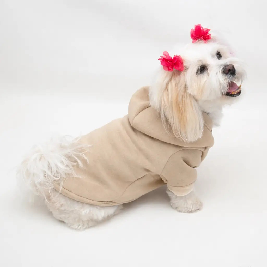 Bej Chill Baskılı Kedi ve Köpek Sweatshirt Hoodie