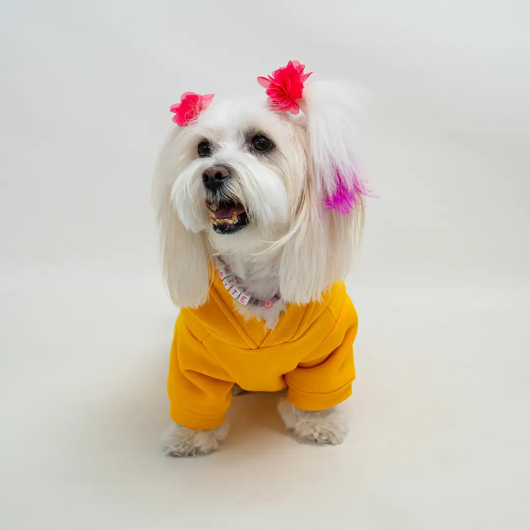 Sarı Sünger Bob Baskılı Kedi ve Köpek Sweatshirt Hoodie