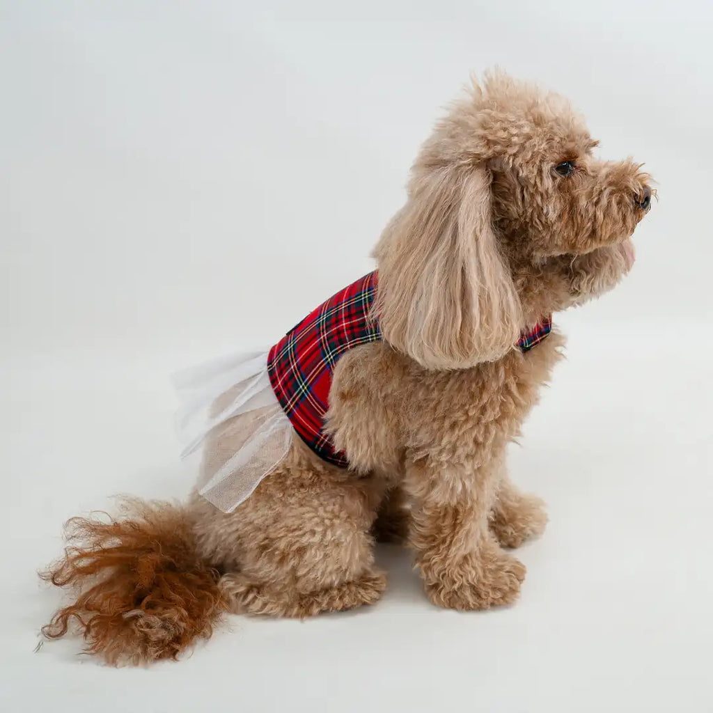 Kedi & Köpek Kıyafeti - Tütülü Elbise Modeli