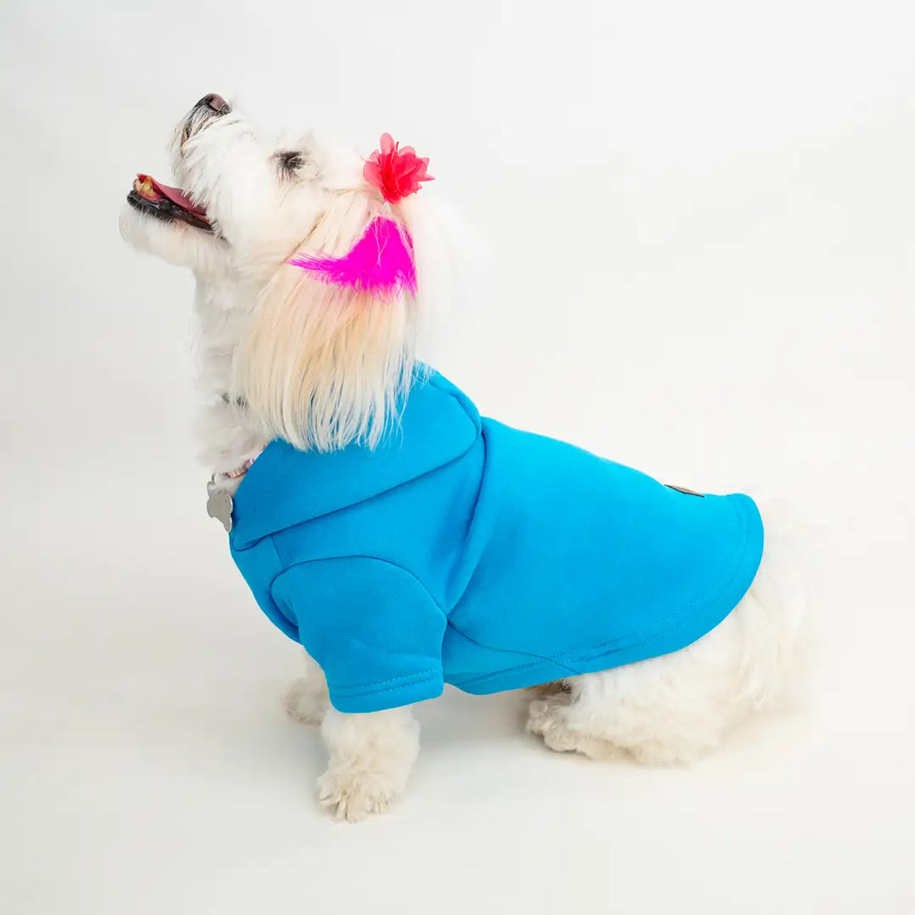 Mavi Baskısız Kedi ve Köpek Sweatshirt Hoodie