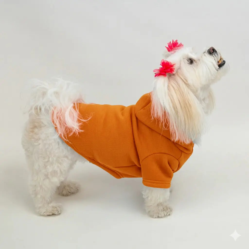 Turuncu Baskısız Kedi ve Köpek Sweatshirt Hoodie