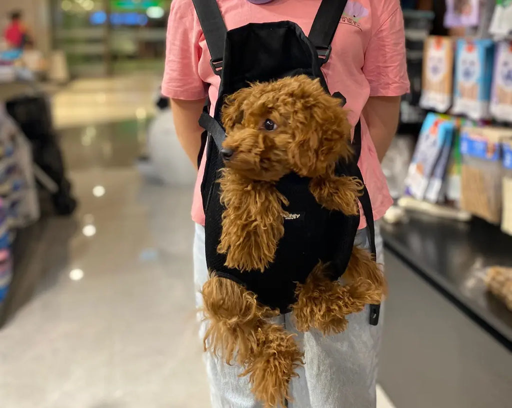 Ana kucağı - Kedi ve Köpekler için Kanguru Model