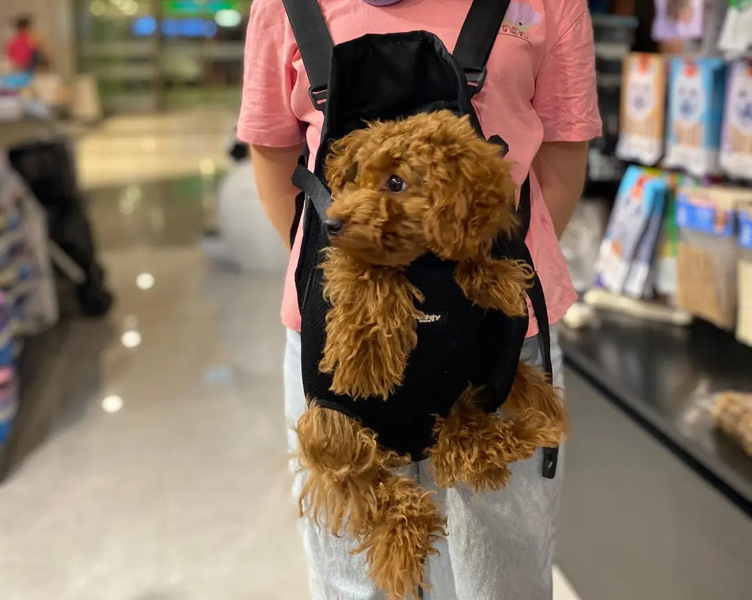 Ana kucağı - Kedi ve Köpekler için Kanguru Model