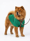 Büyük Irk Köpek T-shirt - Yeşil (Kappa Kumaş)