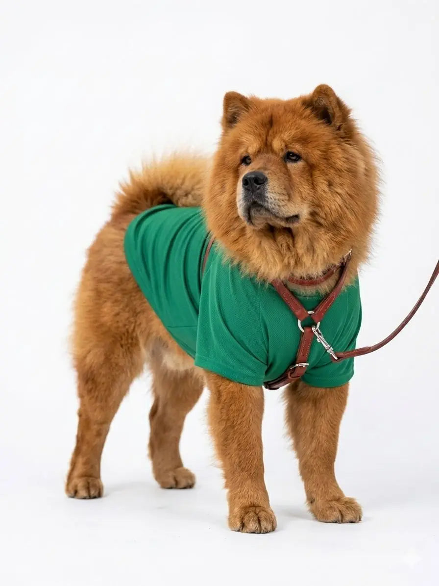 Büyük Irk Köpek T-shirt - Yeşil (Kappa Kumaş)