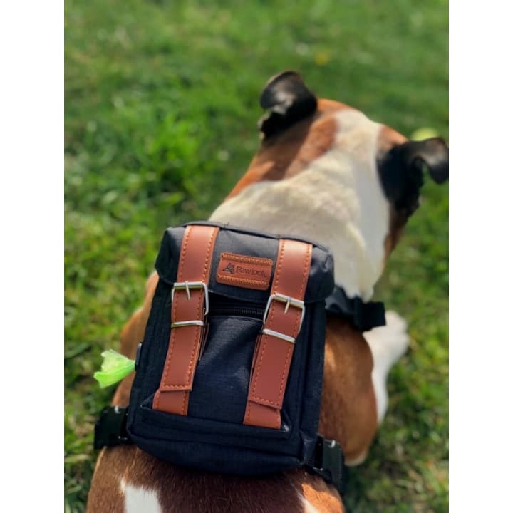 Kedi Köpek Tasmalı Sırt Çantası Standart Boy