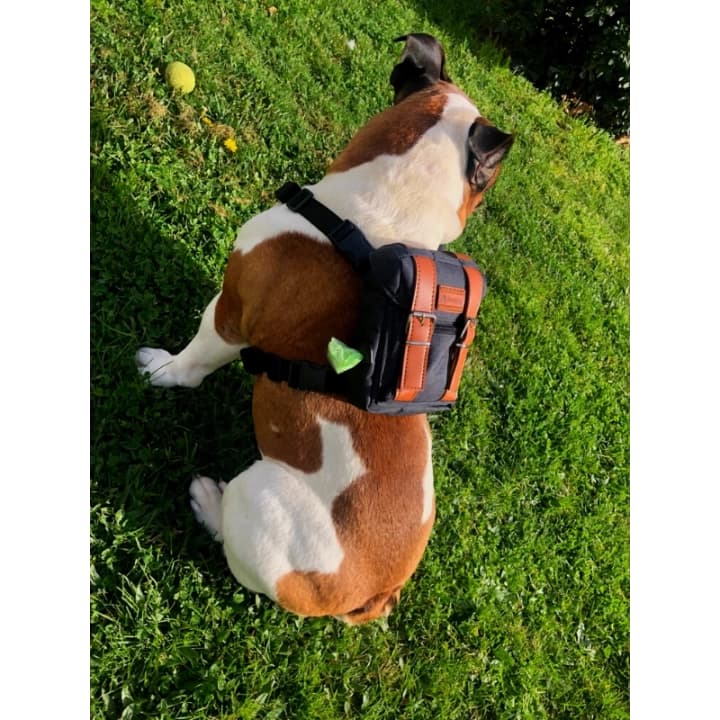 Kedi Köpek Tasmalı Sırt Çantası Standart Boy