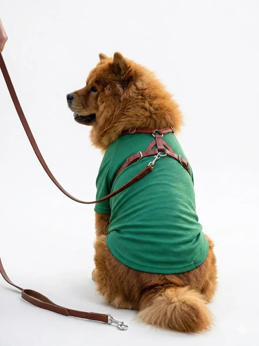 Büyük Irk Köpek T-shirt - Yeşil (Kappa Kumaş)