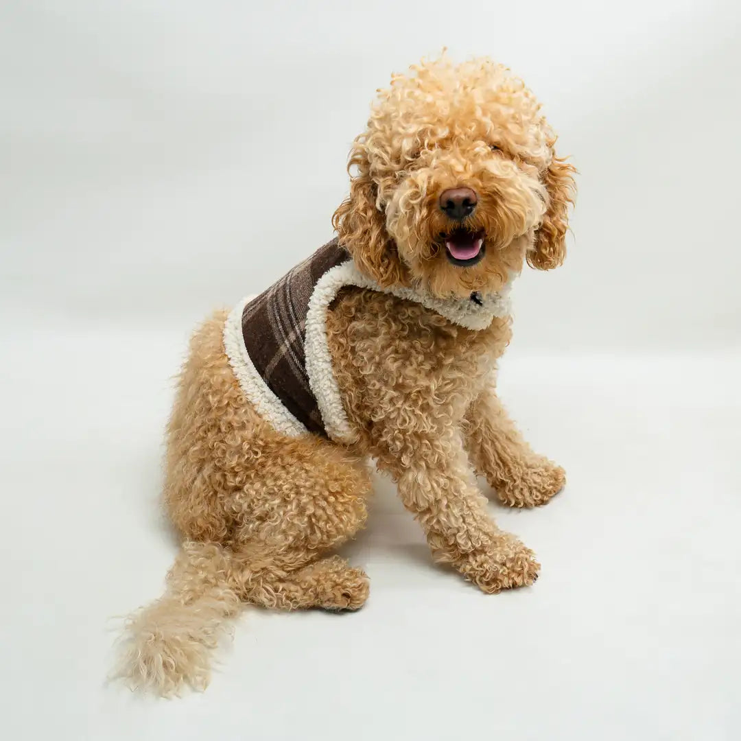 Kedi & Köpekler için Oduncu Yeleği (Çevresi Peluş)