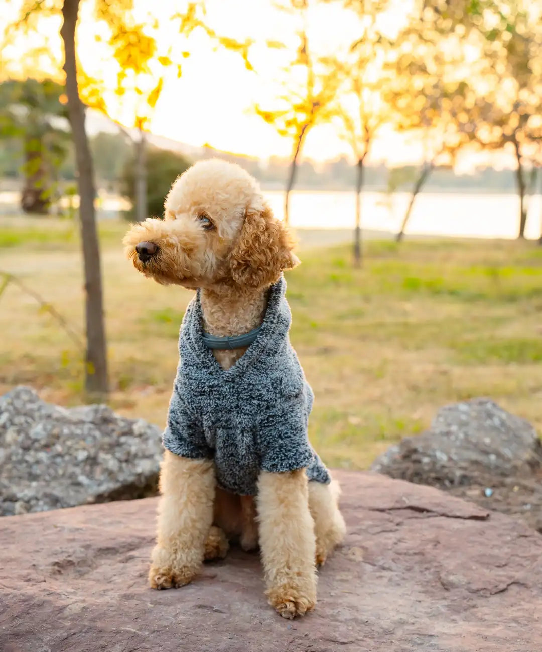 Köpek Kıyafeti Peluş Sweatshirt - Kapüşonlu Koleksiyon