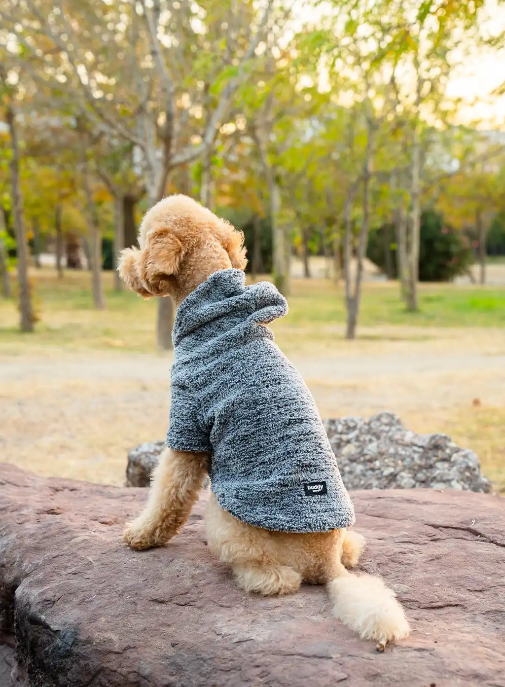 Köpek Kıyafeti Peluş Sweatshirt - Kapüşonlu Koleksiyon