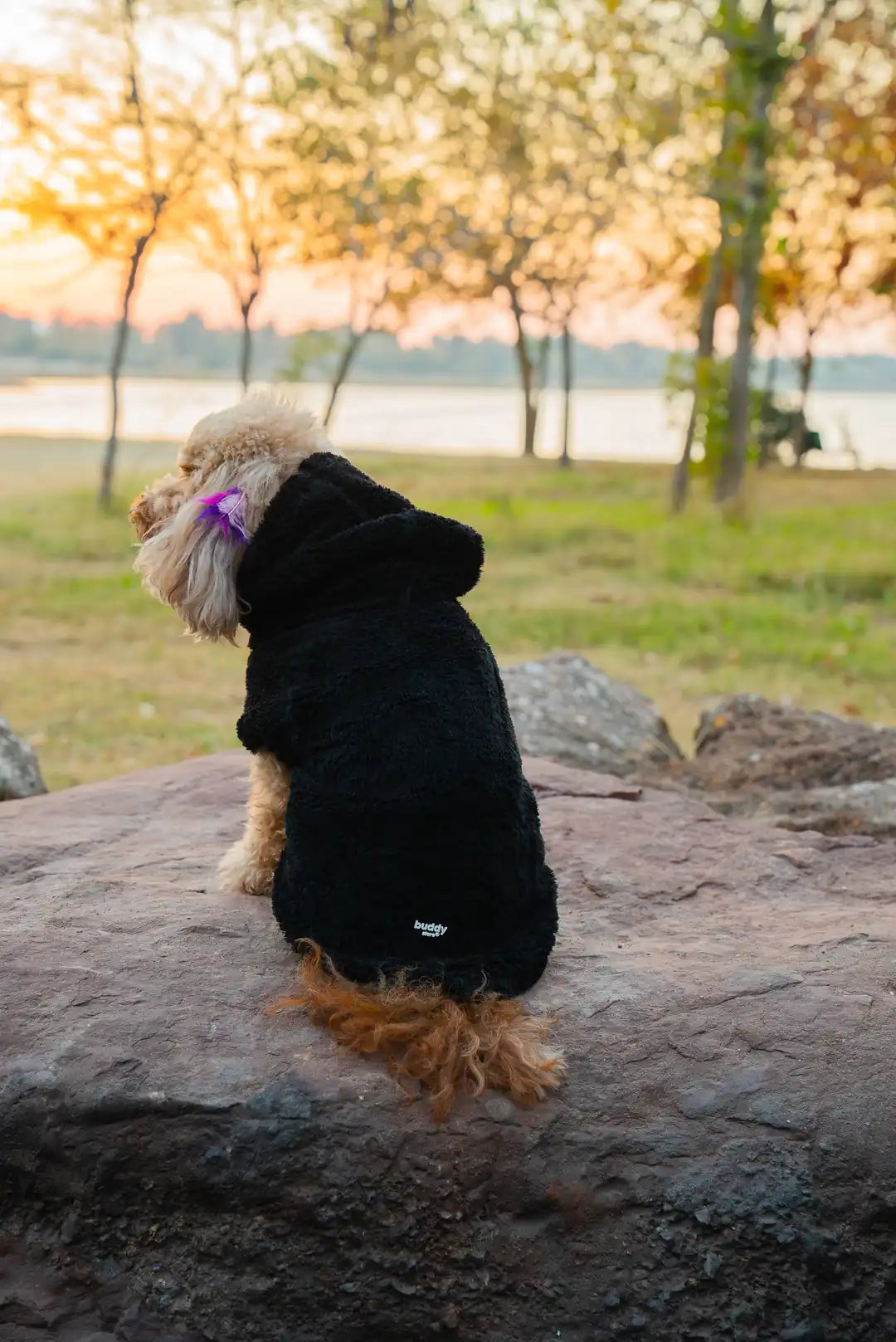 Köpek Kıyafeti Peluş Sweatshirt - Kapüşonlu Koleksiyon