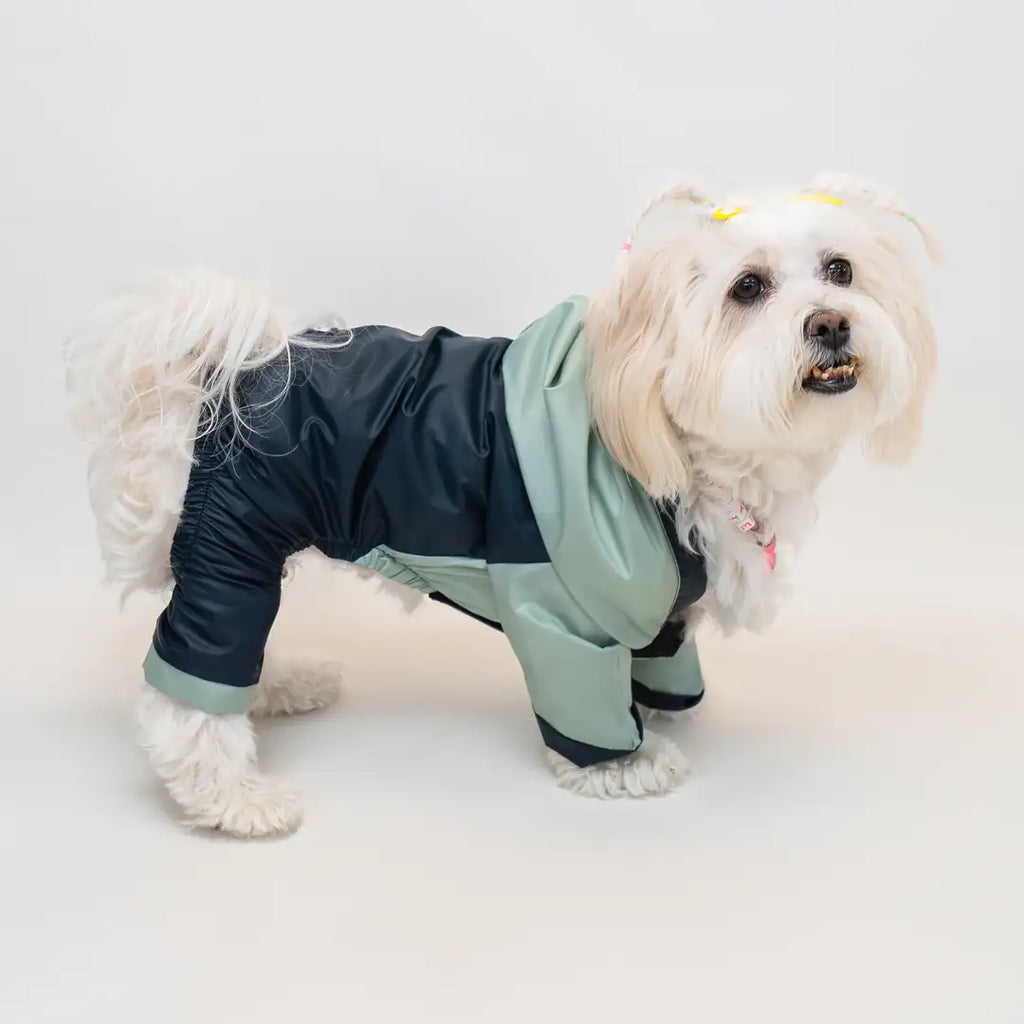 Kedi & Köpek Kıyafeti 4 Bacaklı Rüzgarlık / Yağmurluk - Su Geçirmez Rüzgar Kesici Kumaş
