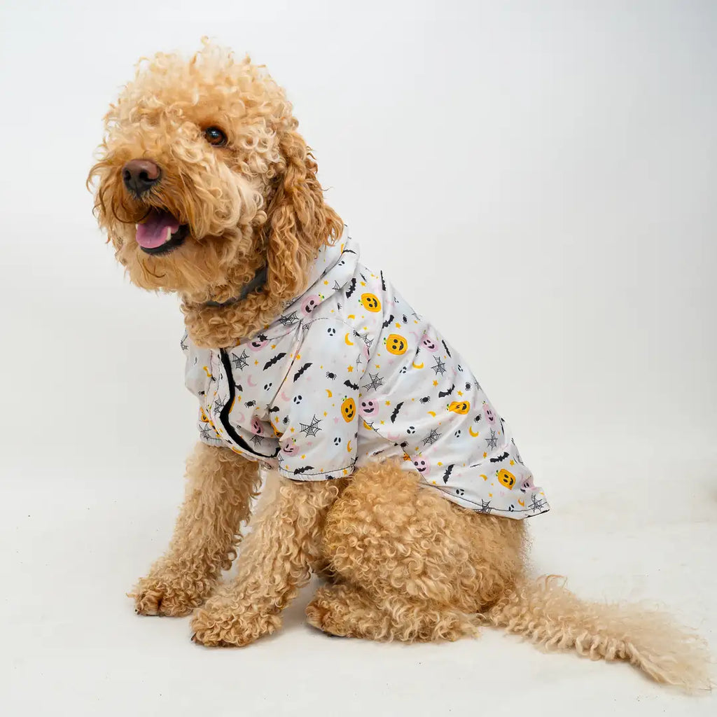 Kedi & Köpek Kıyafeti Yağmurluk - Su Geçirmez Waterproof Kumaş