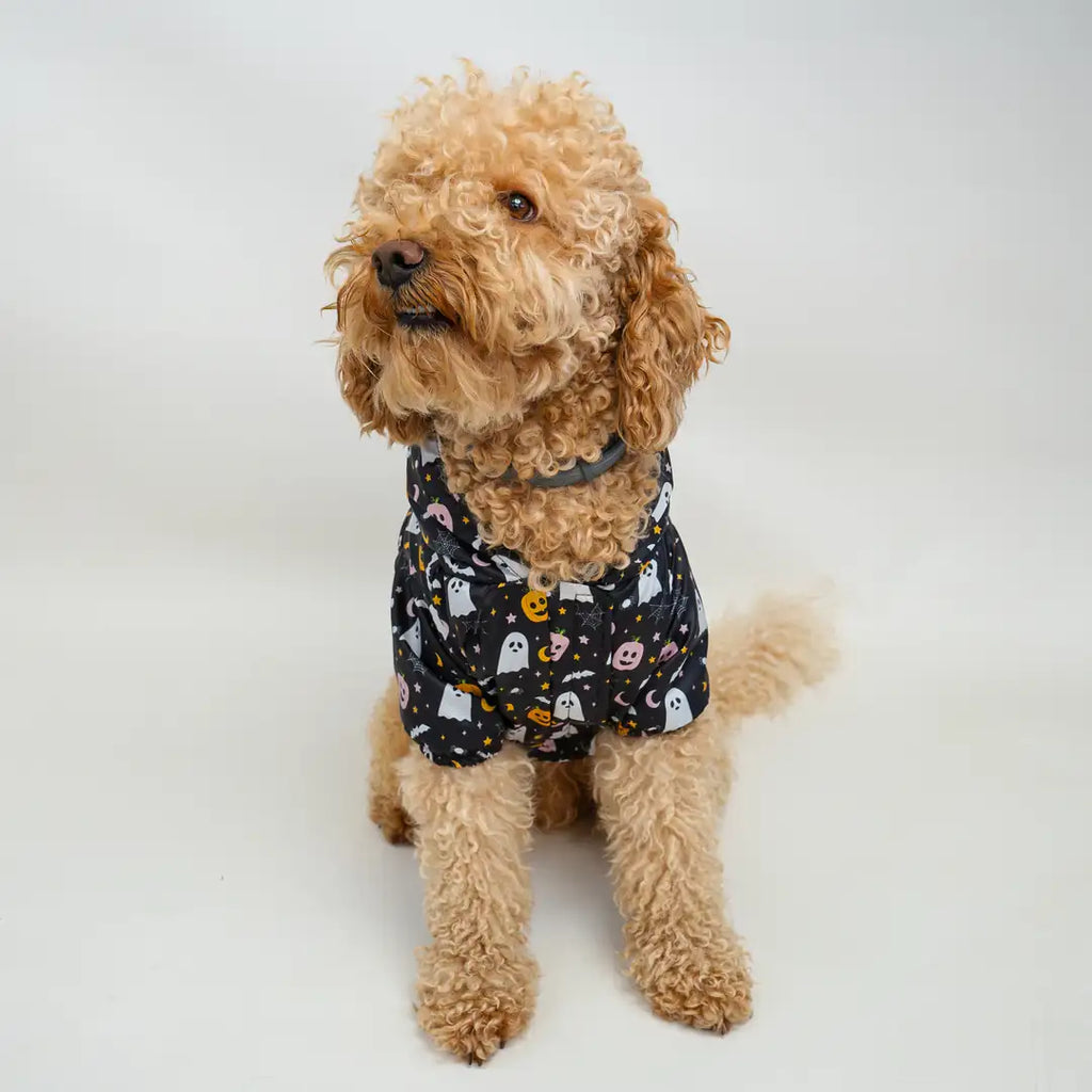 Kedi & Köpek Kıyafeti Yağmurluk - Su Geçirmez Waterproof Kumaş