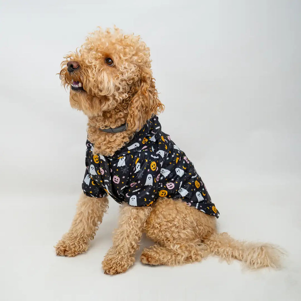 Kedi & Köpek Kıyafeti Yağmurluk - Su Geçirmez Waterproof Kumaş