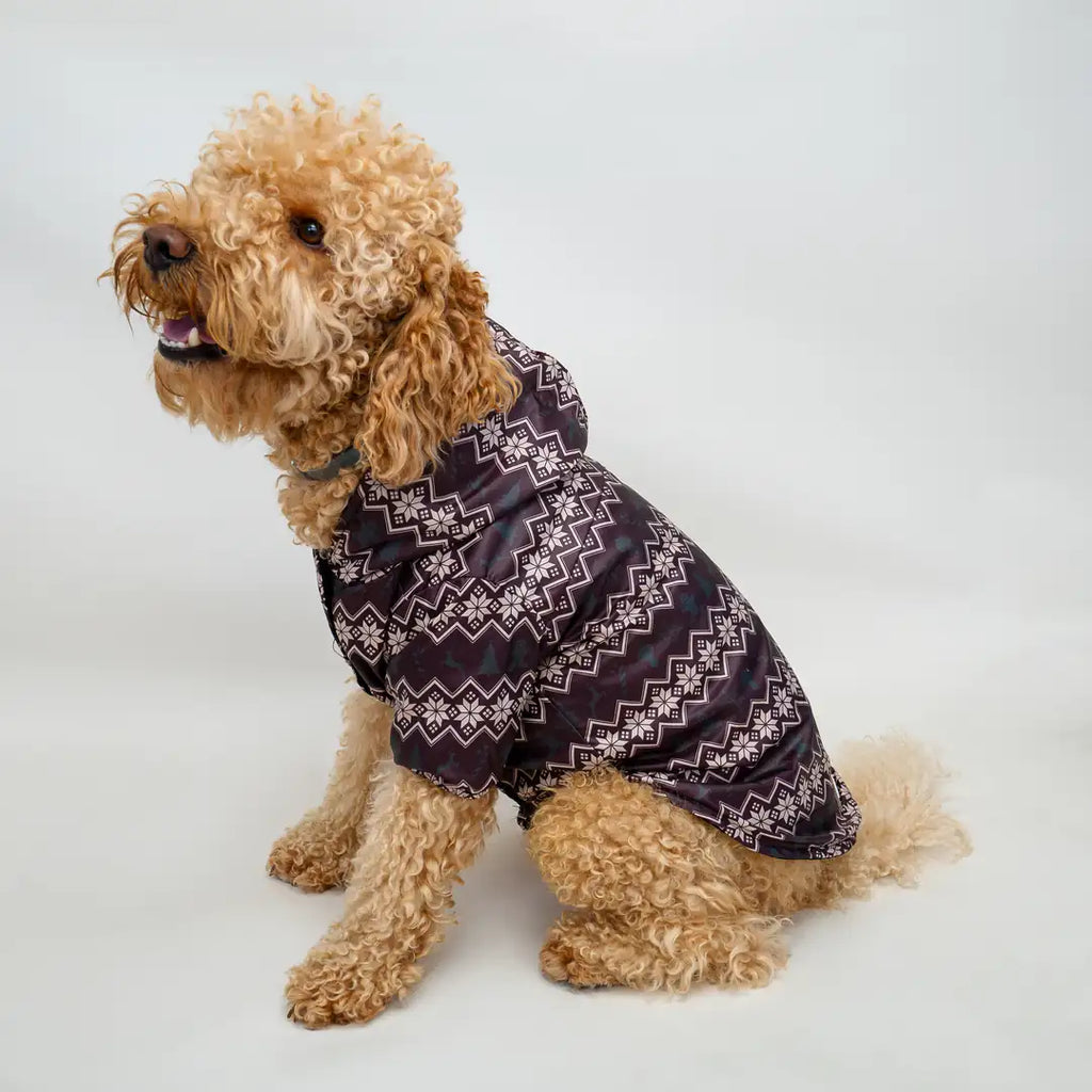 Kedi & Köpek Kıyafeti Yağmurluk - Su Geçirmez Waterproof Kumaş