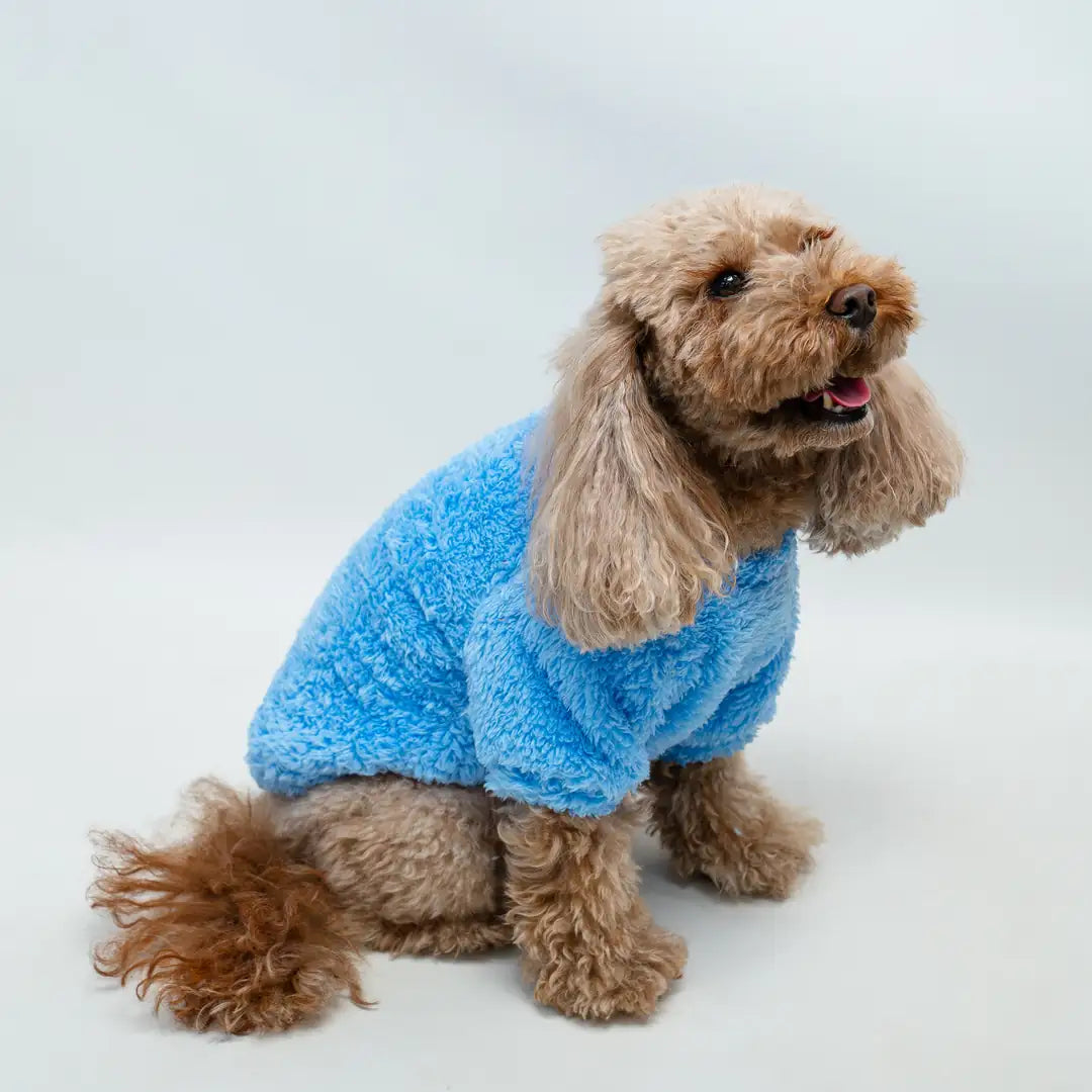 Kedi & Köpek Kıyafeti - Bebe Mavisi Bisiklet Yaka Peluş Sweatshirt