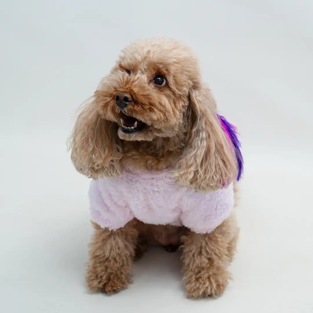 Kedi & Köpek Kıyafeti - Pembe Bisiklet Yaka Peluş Sweatshirt