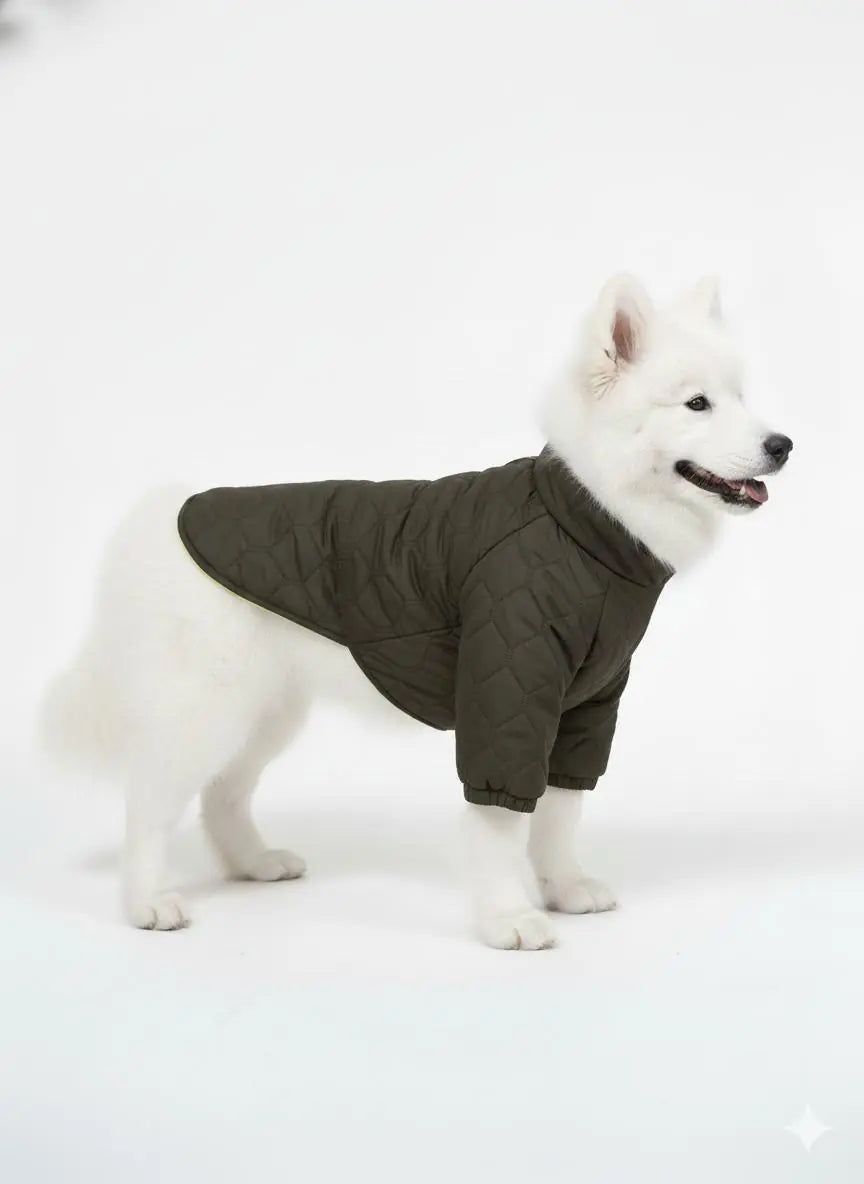 Olive Shield Haki Yeşil Köpek Montu