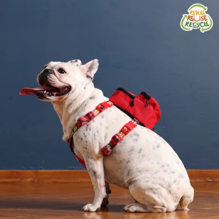 Kedi Köpek Tasmalı Sırt Çantası Standart Boy