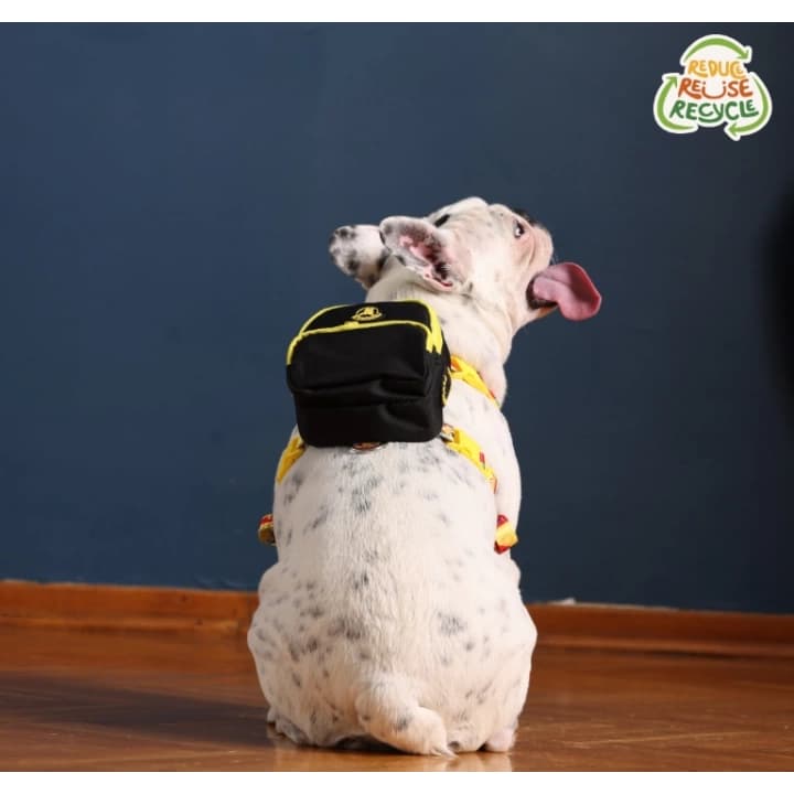 Kedi Köpek Tasmalı Sırt Çantası Küçük Boy